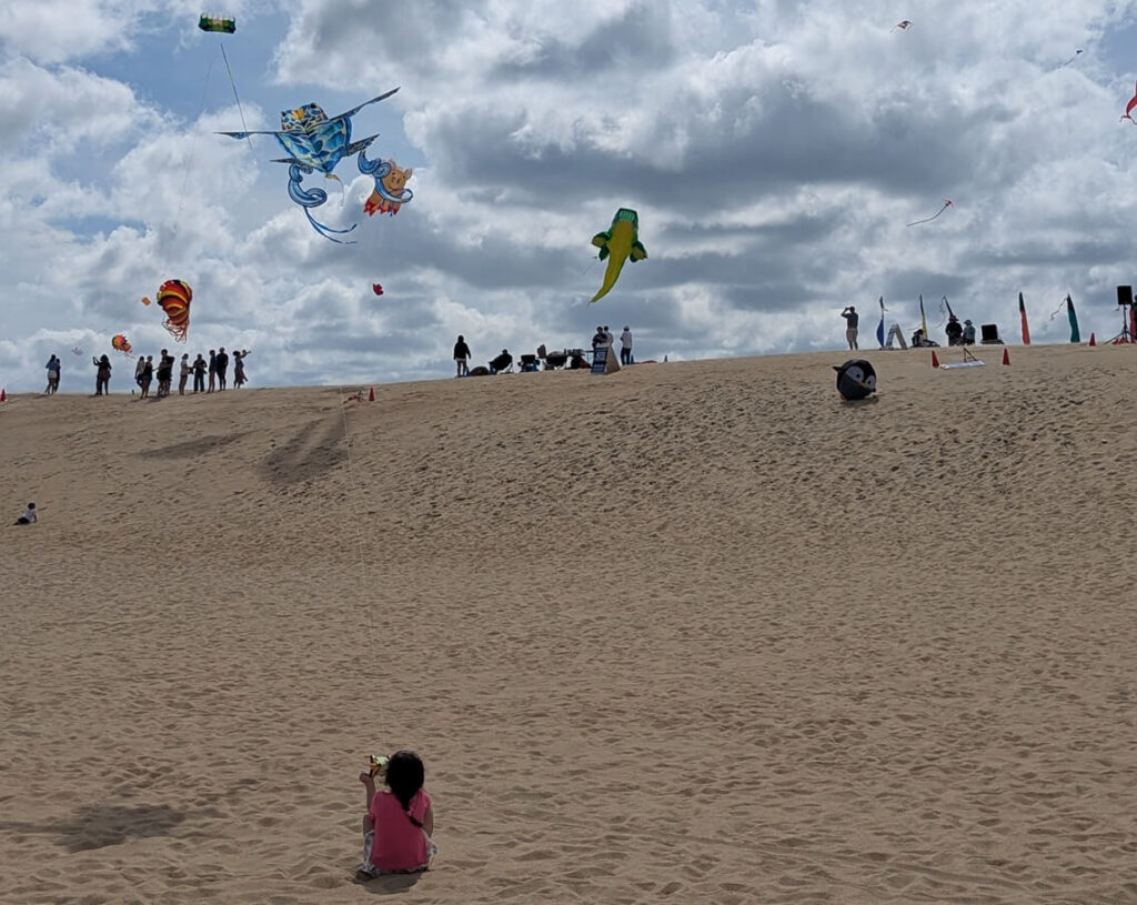 Kite Festival - Jockey's Ridge