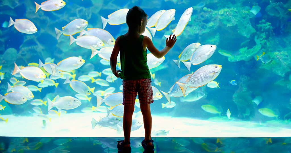 Outer Banks aquarium
