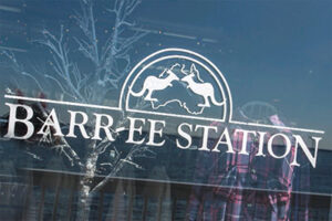 Barree Station