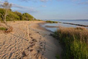 Hidden Treasures of the Outer Banks