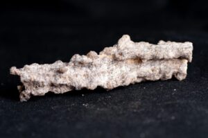 Outer Banks Fulgurite: How to Find & How it's Made