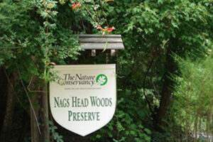 The History of Nags Head Woods: A Remarkable Story
